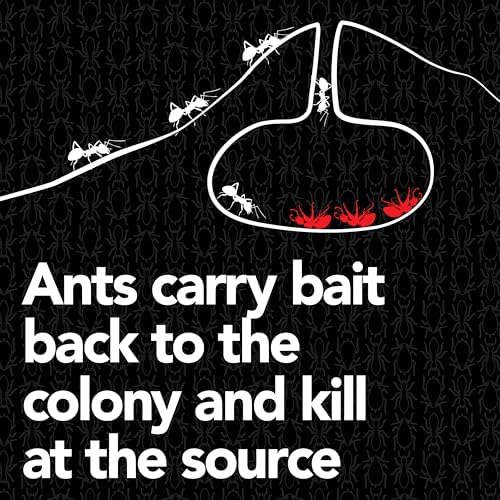 Raid Max Liquid Ant Bat; Kills Ants Where They Breed, For Indoor and Outdoor Use; 8 Bait Stations - Image 6