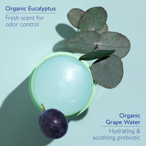 Caudalie Vinofresh Natural Deodorant Stick, Aluminum Free and Alcohol Free, with Eucalyptus & Grape - Image 6
