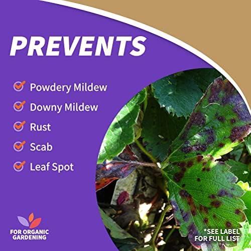 Bonide Captain Jack's Neem Max, 8 oz Concentrated Cold Pressed Neem Oil, Multi-Purpose Insecticide, Fungicide, Miticide and Nematicide for Organic Gardening - Image 4