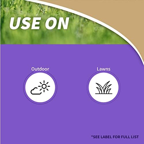 Bonide Captain Jack's Lawnweed Brew, 32 oz Concentrate, Fast-Acting Formula Controls Weeds, Moss, Algae, Lichens & Disease - Image 2