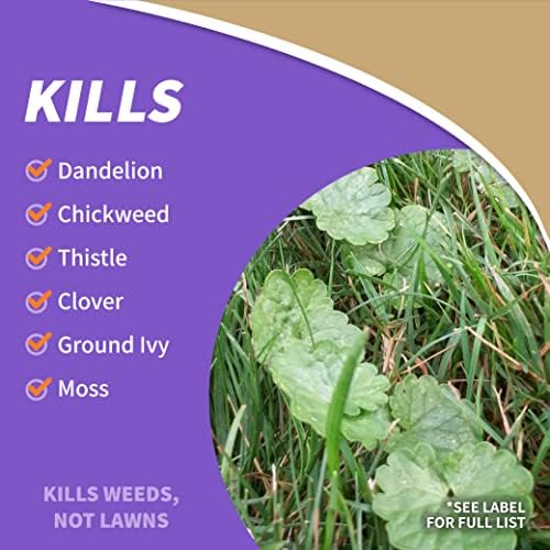 Bonide Captain Jack's Lawnweed Brew, 32 oz Concentrate, Fast-Acting Formula Controls Weeds, Moss, Algae, Lichens & Disease - Image 4