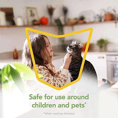 Raid Essentials Fly, Gnat, and Mosquito Killer Aerosol Spray, Safe for Use Around Children and Pets, 10 oz - Image 3
