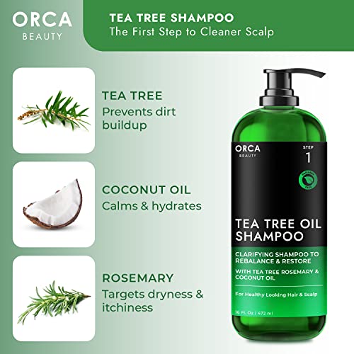 Tea Tree Shampoo and Conditioner Set, Shampoo and Conditioner for Oily Hair 2x16oz Tea Tree Oil Shampoo for Oily Hair, Dry Scalp Dandruff Shampoo and Conditioner for Men & Women, Tea Tree Conditioner - Image 3