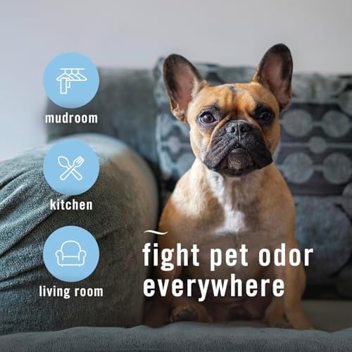 Febreze Air Mist Air Freshener Spray, Odor-Fighting Room Spray, Air Fresheners for Home and Bathroom and Kitchen, Aerosol Can, HD Pet Odor Fighter Scent, 8.8oz, 3 Count - Image 4