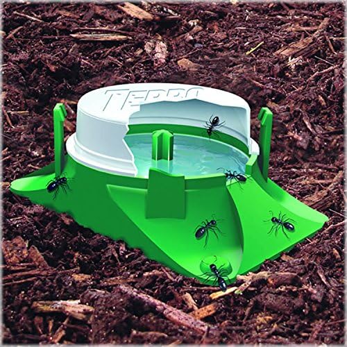 TERRO T1804SR Outdoor Ready-to-Use Liquid Ant Bait Killer and Trap - Kills Common Household Ants - 8 Bait Stations - Image 9