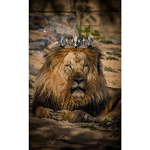 AOPRIE King & Queen Artemis Tiara and Crown for Women Men Crystal Hair Accessories for Wedding Prom Bridal Birthday Party Halloween Costume Christmas Gifts Black Princess Tiara for Girls Boys - Image 6