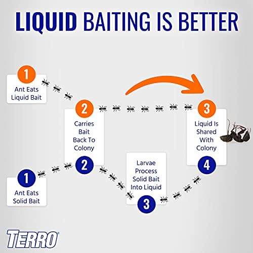 TERRO T200-3SR Liquid Ant Killer – 3 Pack - Image 5