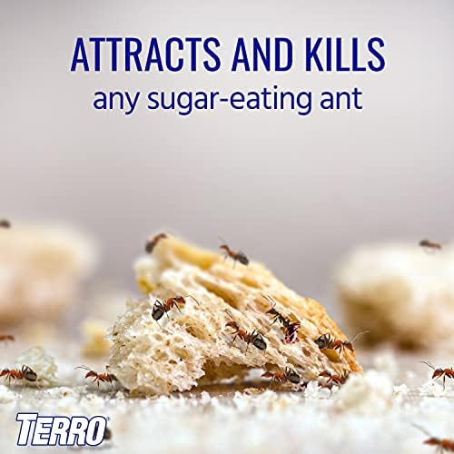TERRO T200-3SR Liquid Ant Killer – 3 Pack - Image 7
