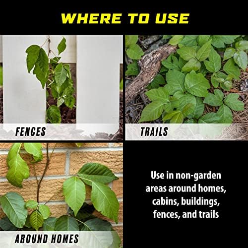 Ortho GroundClear Poison Ivy & Tough Brush Killer2 - Weed Killer Concentrate, 32 fl. oz. - Image 6