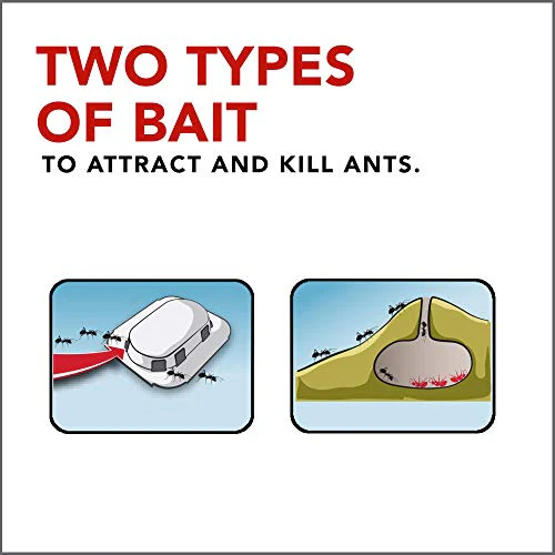 Raid Max Double Control Ant Baits Dual Bait Technology 8 Count (Pack of 4) - Image 7