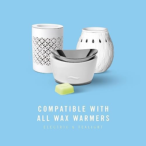 Febreze Wax Melts, Wax Melt Warmer Cubes, Wax Warmer Cubes, Gain Original Scent, 6 packs, 6 cubes each, Air Freshener - Image 4