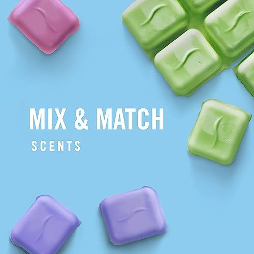 Febreze Wax Melts, Wax Melt Warmer Cubes, Wax Warmer Cubes, Gain Original Scent, 6 packs, 6 cubes each, Air Freshener - Image 5