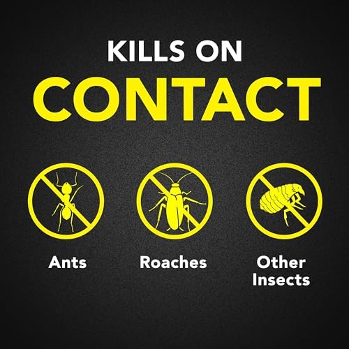 Raid Ant & Roach Aerosol Bug Spray, Water-Based Formula Insecticide With No Greasy Residue, Kills On Contact, 17.5 oz - Image 2