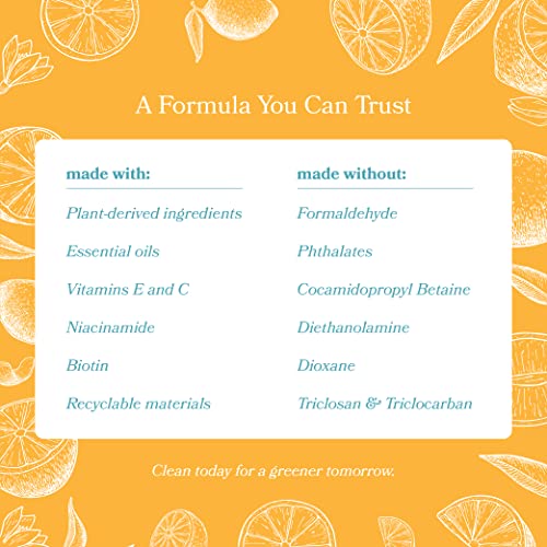 Vitamin Hand Soap - Liquid Hand Soap Value Pack Deal - Natural Plant Derived Moisturizing Handsoap with Essential Oil Fragrance Citrus Bask - Wholesale Carton - Image 2