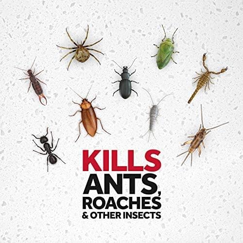 Raid Ant Killer Spray Pine Forest (17.5 Ounce (Pack of 8) - Image 5
