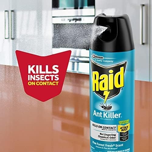 Raid Ant Killer Spray Pine Forest (17.5 Ounce (Pack of 8) - Image 8