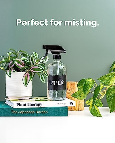 Vine Creations Glass Spray Bottles, 2 Pack Glass Spray Bottles for Cleaning Solutions, Plant Misters for Inside, Clear Glass Spray Bottle for hair, 16 oz Mister Spray Bottle with Waterproof Labels - Image 3