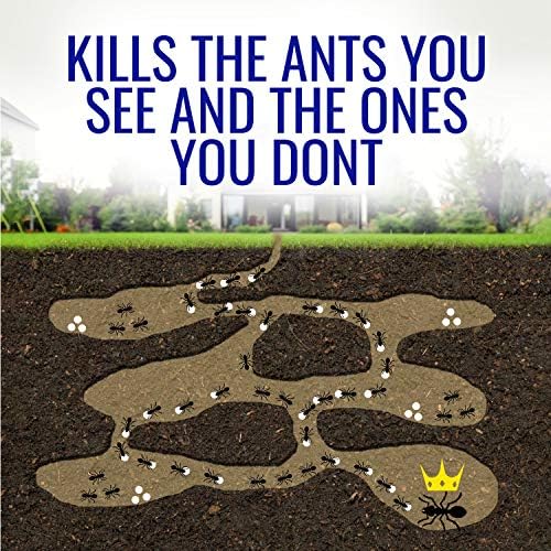 Terro T100-12 Liquid Ant Killer II, 1 oz, Pack of 2 - Image 7