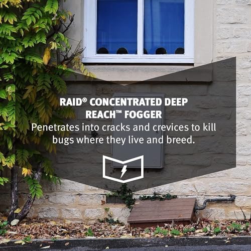 Raid Concentrated Deep Reach Fogger (Pack - 2) - Image 6