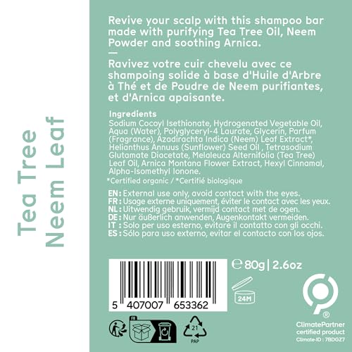 Arista Anti-Dandruff Shampoo Bar | Sulfate-Free, with Leaf Powder, Arnica & Tea Tree | Vegan Solid Shampoo Bar - Image 8