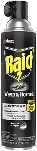 Raid Wasp and Hornet Killer, 17.5 Oz (Pack of 8) - Image 2