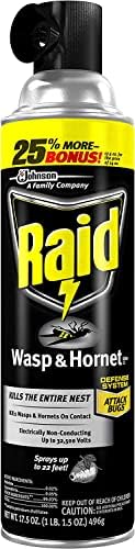 Raid Wasp and Hornet Killer, 17.5 Oz (Pack of 8) - Image 3