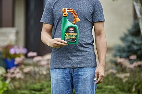 Ortho WeedClear Lawn Weed Killer Ready to Spray: for Northern Lawns, 32 oz. (Pack of 2) - Image 3