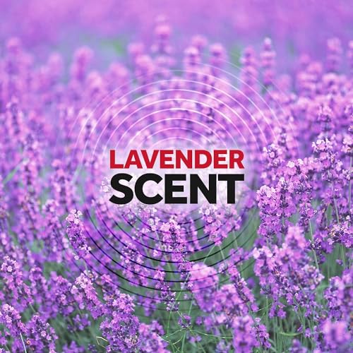 Raid Ant & Roach Killer Lavender 17.5 Ounce (Pack of 12) - Image 5