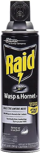 Raid Wasp Hornet Killer Spray (14 Ounce (Pack of 8)) - Image 2