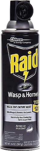Raid Wasp Hornet Killer Spray (14 Ounce (Pack of 8)) - Image 4