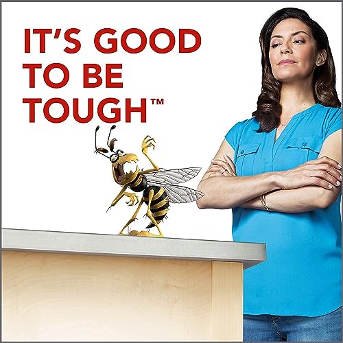 Raid Wasp Hornet Killer Spray (14 Ounce (Pack of 8)) - Image 7