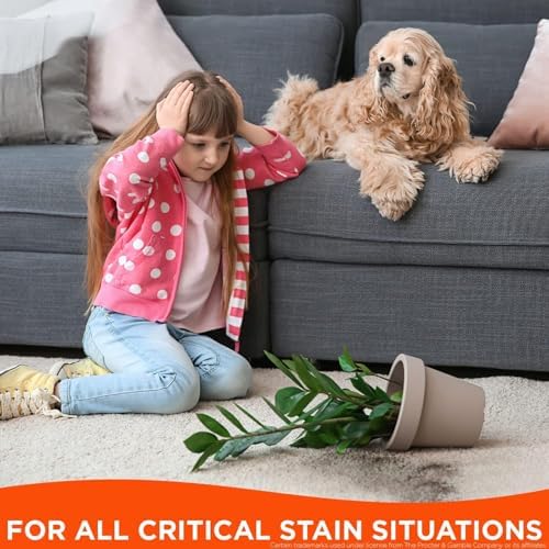 Tide Laundry Stain Remover Spray with Oxi | Stain Remover for Clothes, Carpet, Upholstery, Pet Bedding | Stain Treater Spray for Tough Stains from Wine, Coffee, Grease | 22 Fl Oz (Pack of 2) & 3 Fl Oz - Image 8