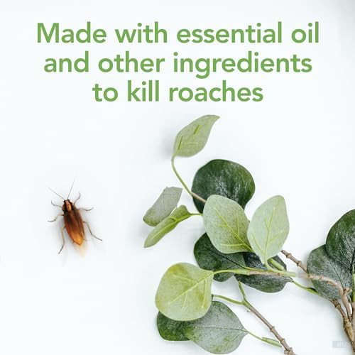 Raid Essentials Ant, Spider & Roach Killer Aerosol Spray, Child & Pet Safe, Kills Insects Quickly, for Indoor Use, Rosemary Mint Scent, 10 fl oz - Image 11