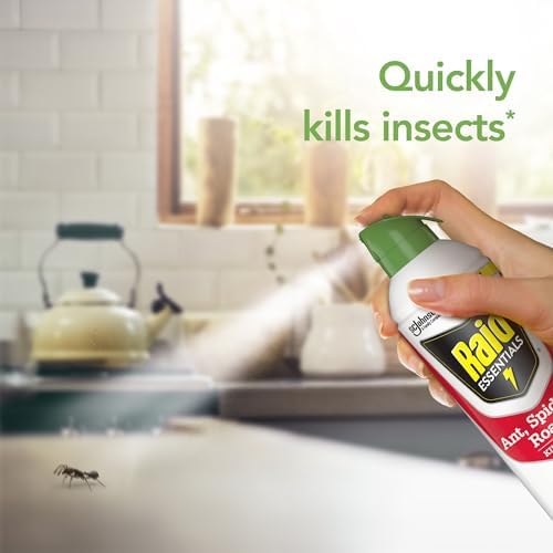 Raid Essentials Ant, Spider & Roach Killer Aerosol Spray, Child & Pet Safe, Kills Insects Quickly, for Indoor Use, Rosemary Mint Scent, 10 fl oz - Image 5