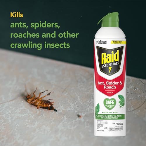 Raid Essentials Ant, Spider & Roach Killer Aerosol Spray, Child & Pet Safe, Kills Insects Quickly, for Indoor Use, Rosemary Mint Scent, 10 fl oz - Image 8