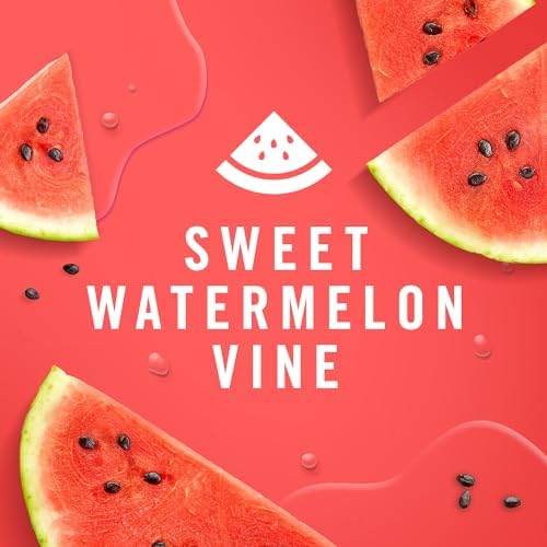Febreze Small Spaces Air Freshener, Odor-Fighting, Plug In Alternative, for Home and Bathroom and Kitchen, Closet Air Fresheners, Sweet Watermelon Vine & Southern Lilac Mornings Scent, 4 Count - Image 10