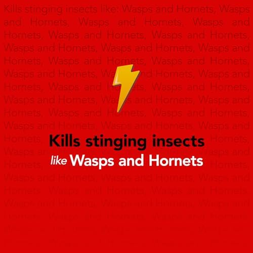 Raid Max Foaming Wasp & Hornet Killer, Fast Coverage Foam, Bug Killer Kills The Entire Nest, 16.5 oz - Image 5