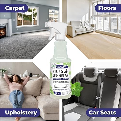 Mighty Mint Stain & Odor Remover, Natural Enzyme Spray Safely Neutralizes Odor and Stains from Dogs, Cats on Carpet, Furniture, Natural Peppermint Scent, 16oz - Image 2