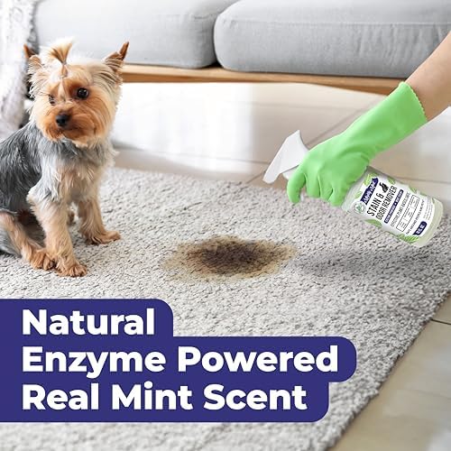 Mighty Mint Stain & Odor Remover, Natural Enzyme Spray Safely Neutralizes Odor and Stains from Dogs, Cats on Carpet, Furniture, Natural Peppermint Scent, 16oz - Image 3