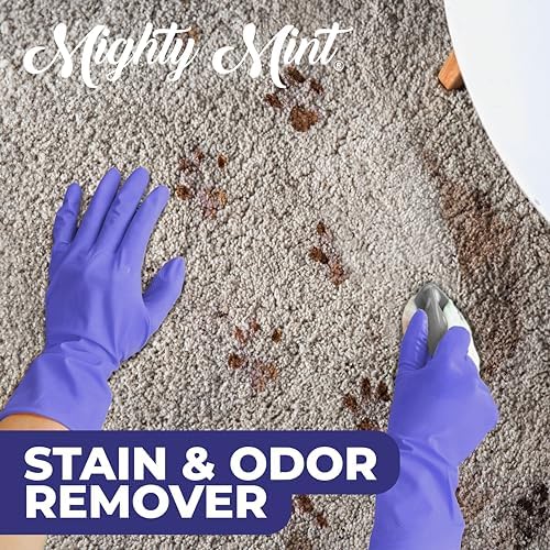 Mighty Mint Stain & Odor Remover, Natural Enzyme Spray Safely Neutralizes Odor and Stains from Dogs, Cats on Carpet, Furniture, Natural Peppermint Scent, 16oz - Image 4