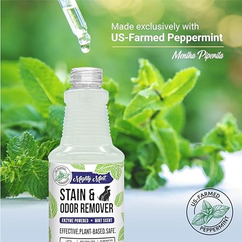 Mighty Mint Stain & Odor Remover, Natural Enzyme Spray Safely Neutralizes Odor and Stains from Dogs, Cats on Carpet, Furniture, Natural Peppermint Scent, 16oz - Image 5