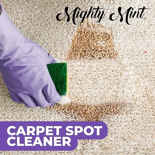 Mighty Mint Carpet Spot Cleaner, Non-Toxic Spray to Remove Carpet Stains Instantly, Natural Peppermint Scent, 16oz - Image 4