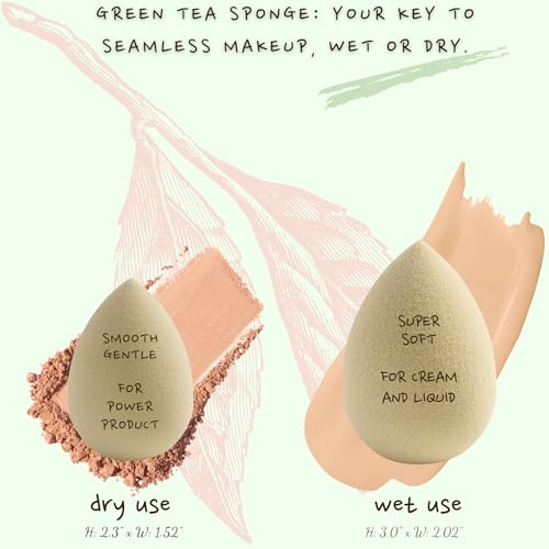 Green Tea Beauty Sponge - Plant-Based, Eco-Friendly, Cruelty-Free, Dye-Free & Latex-Free Blender, Biodegradable & Vegan Makeup Sponge, Makeup Blender, Perfect for Liquid & Powder (1 Count) - Image 4