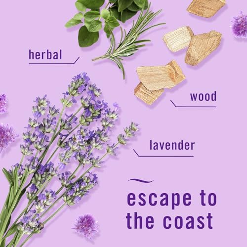 Febreze Odor-Fighting Fade Defy PLUG Air Freshener,Downy April Fresh, Mediterranean Lavender, .87 fl. oz. Oil Refills, 4 Refills (2 of Each) - Image 5