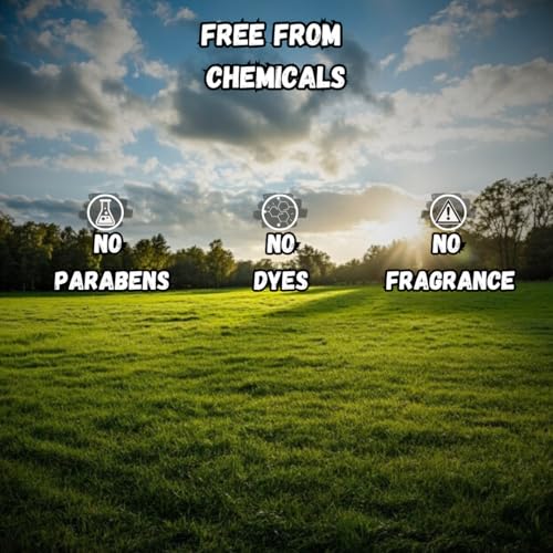 Beef Tallow Lip Balm 100% Grass Fed & Organic, Animal Based Skincare, Carnivore Beauty, Natural Hydrating (4 Pack), Black - Image 5