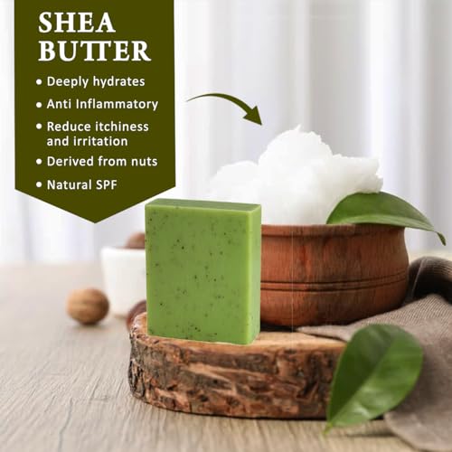 Eucalyptus Scented Natural Soap Bars (6 Bars), 3.5oz Moisturizing French Triple Milled Soap Bars Enriched with Shea Butter - Pure Plant Oil Bath & Body Soap Bars - Image 4