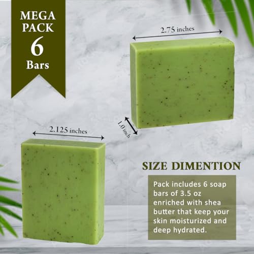 Eucalyptus Scented Natural Soap Bars (6 Bars), 3.5oz Moisturizing French Triple Milled Soap Bars Enriched with Shea Butter - Pure Plant Oil Bath & Body Soap Bars - Image 7