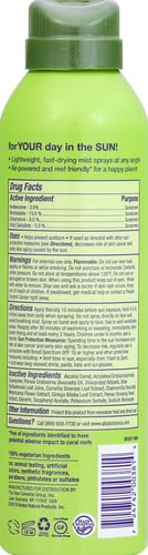 Alba Botanica Sensitive Sunscreen Spray for Face and Body, Fragrance-Free, Broad Spectrum SPF 50, Water Resistant, 5 fl. oz. Bottle (Pack of 2) - Image 3