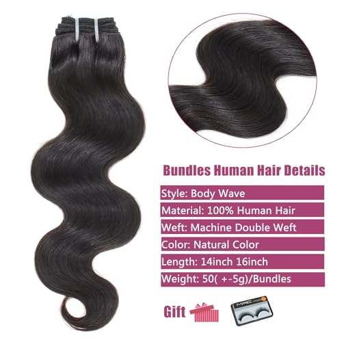 Body Wave Bundles Human Hair 4 Bundles 14 16 Inch 12A Human Hair Bundles 100% Unprocessed Brazilian Virgin Hair Weave Bundles Human Hair Natural Black Deals for Women (14/14/16/16 Inch, 4 Bundles) - Image 2