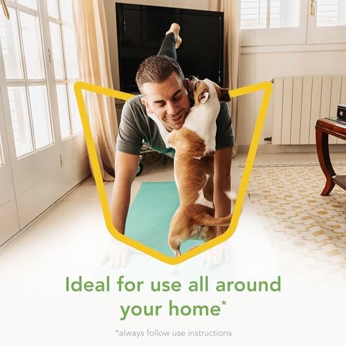Raid Essentials Multi-Insect Killer Spray Bottle, Child and Pet Safe, for Indoor Use, Lemongrass Scent, 12 fl oz - Image 8